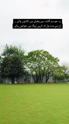 #tiktokviral #CreateWithEffects #creatorsearchinsight #fyp #trendingtiktok 