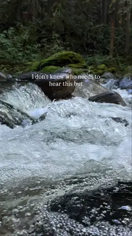Don’t let fear or doubt stand in the way of your dreams. You’ve come so far! Keep going 🌿🫶🏼 #nature #river #slowmotion  Audio @Devante Warner 