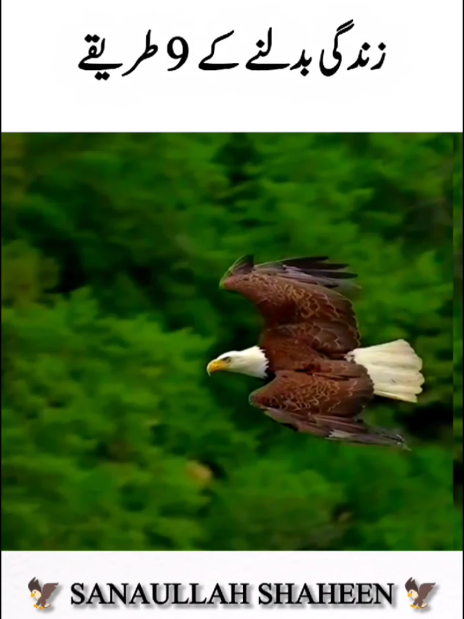 #creatorsearchinsights #supportukaccount #attitudestatus🔥🔥 #onemillonaudition #room sofa viralvideo 