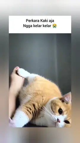 Gua gak mau ngalah dan gak bakalan kalah ya !!! 