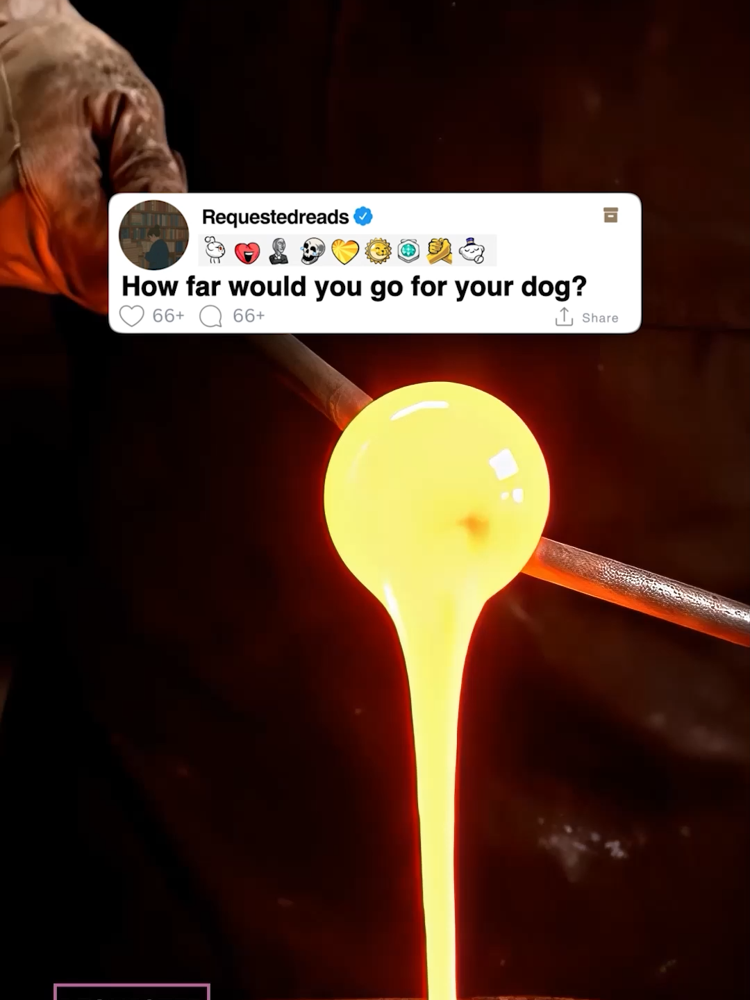 How far would you go for your dog?  #reddit #redditreadings