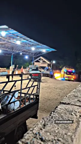 #sawitontiktok🌴🌴 #fyp🔥🔥🔥_tiktok #truksawit 
