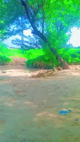 #live #sanghar #livehighlights #forypupage❤️ #foryoupage❤️❤️ 