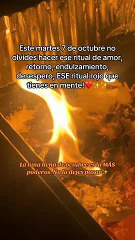 Manda dm para cotizar tu ritual ✨🔮🎃