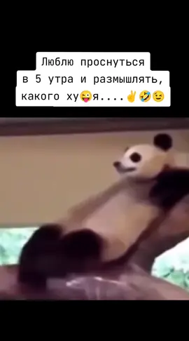 #####✌️😁😉🤣🤣🤣🇱🇻  жиза,юмор,позитив, приколы #####✌️😁😉🤣🤣🤣 