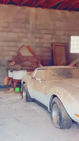 #carwashing #cardetailing #detailingcars #fyp #washingcar 