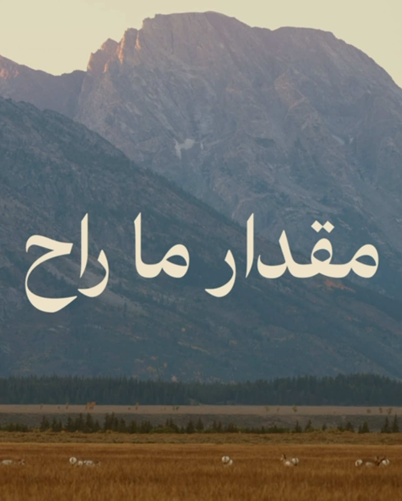 - دامني حيّ عطني .. 🤍🎧                           #محمد_عبده  #abdu 