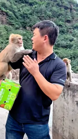 #fentysuperbrandday #tiktok #monkey #foryou 
