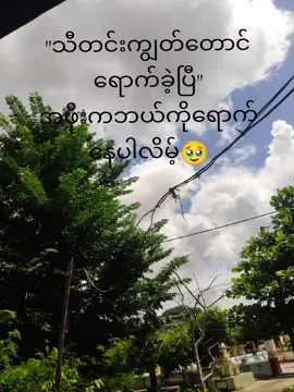 လွမ်းလိုက်တာအဖိုးရယ်😭😭