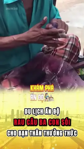 Ai ăn chứ t chịu #amthucando 