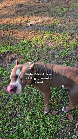 comment their name  #relatable #fyp #like #followme 