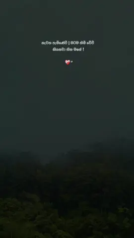 #🥺🤍✨ #stetus #KD #foryoupage #trending 