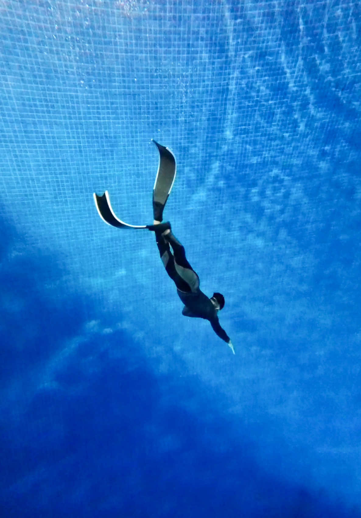 Beneath the surface, silence speaks louder than words. . . #freedive #freediving #freediver #freedivecourse #underwatervideography 