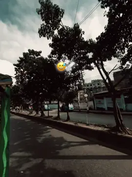 😅💔#capcut #viraltiktok #catsoftiktok #foryoupage 