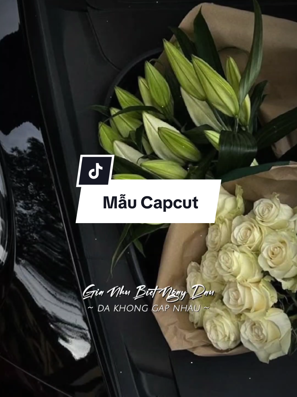 #CapCut Một mãnh ký ức anh chia ra làm hai phần | Em Là Đôn Chề Remix #capcut #capcutpioneer #pioneertemplate #ngoctuan_98 