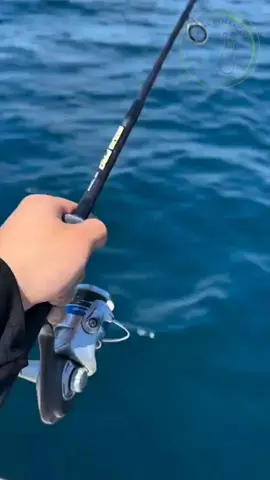 Bahagia engak bang? 😁 . . . . #mancing #buntal #lucu 