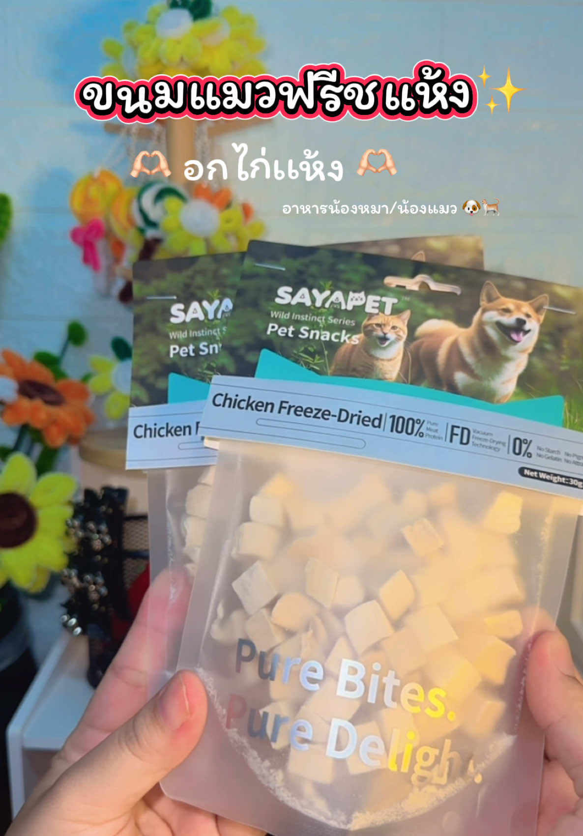 อาหารแมวฟิชแช่งอกไก่อาหารน้องหมาน้องแมว#อาหารหมา #อาหารแมว #ขนมแมวฟรีซดราย 