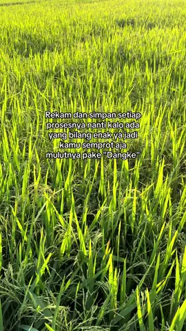 😂#anakpetani🌾 #masukberandafyp #fyp #foryoupage #fypdong 