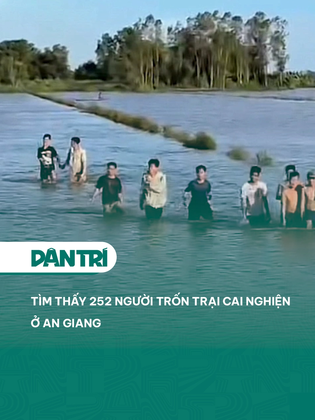 Tìm thấy 252 người trốn trại cai nghiện ở An Giang #dantrinews #xuhuong #LearnOnTikTok