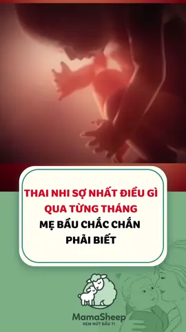 Mười tháng mang thai, mỗi tháng thai nhi sợ điều gì? #kiếnthứcthaikỳ #nhữngđiềucầnlưuýkhimangthai #mamasheep #mangthai #xuhuong 