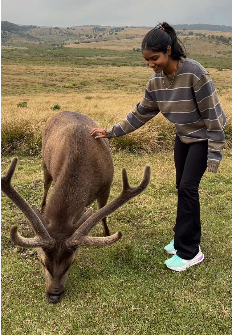 Till we meet you again in 12 years💗 #hortanplains #nelumal #fyppppppppppppppppppppppp #srilanka🇱🇰 #CapCut 
