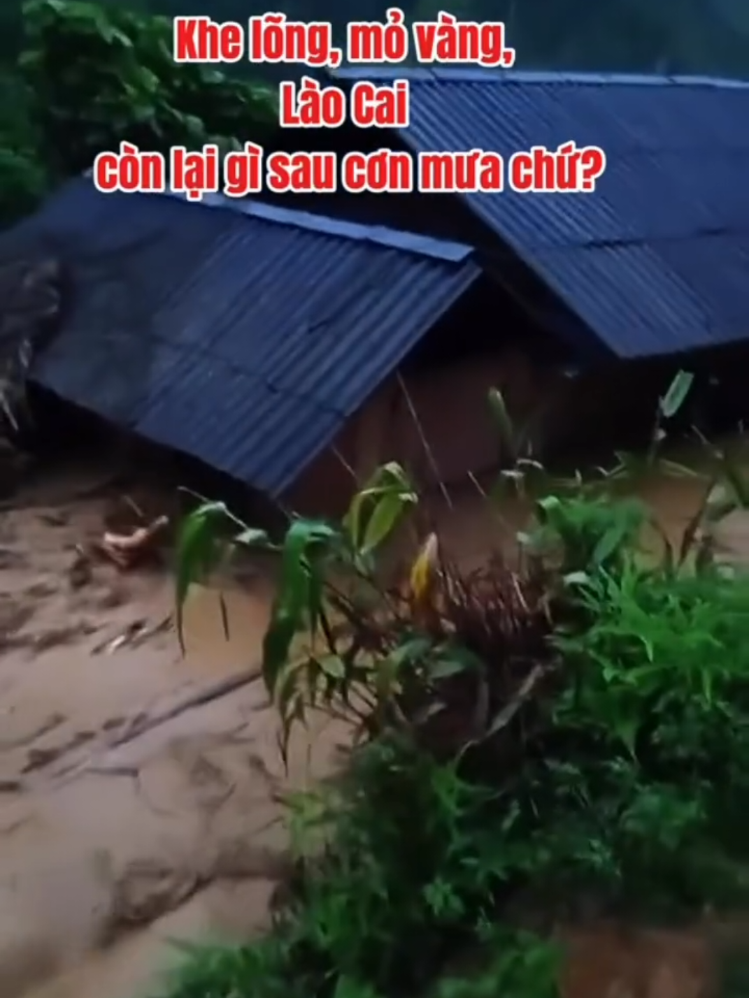 Thôn khe lõng ,  xã mỏ vàng tỉnh lào cai .. mưa lớn diện rộng đón những trận lũ quét kinh hoàng sau cơn bão.  #cuho #baolu #baoso10 #lulut #baomoinhat 