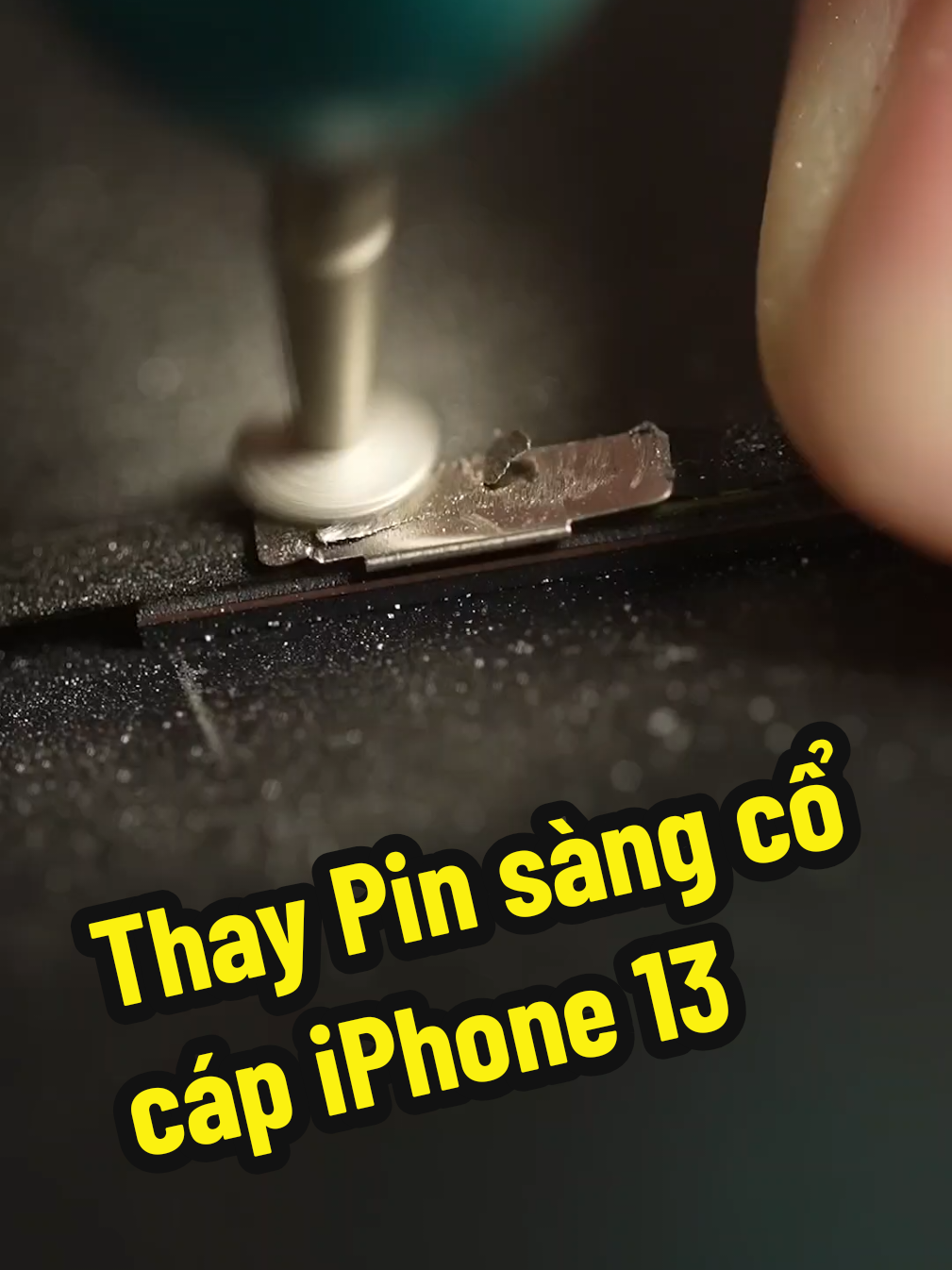 Thay PIN sàng cổ cáp iPhone 13 #suadienthoai 