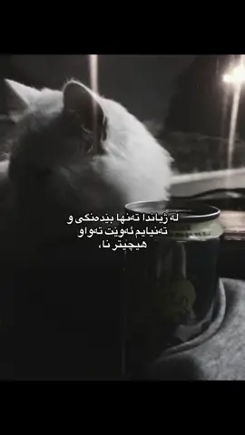 پۆستی لاقی بۆ ریپۆست پەیوەندی بەخۆمەوە نیە#fypシ゚viral🖤tiktok #kurdishgirl #minabrin #actives? #kurdisharmy 