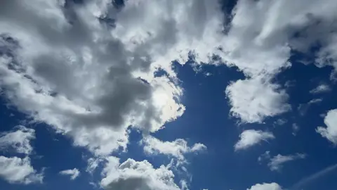 Blue sky patterns  #clouds #timelapse #naturevideos #cinematic #sky 