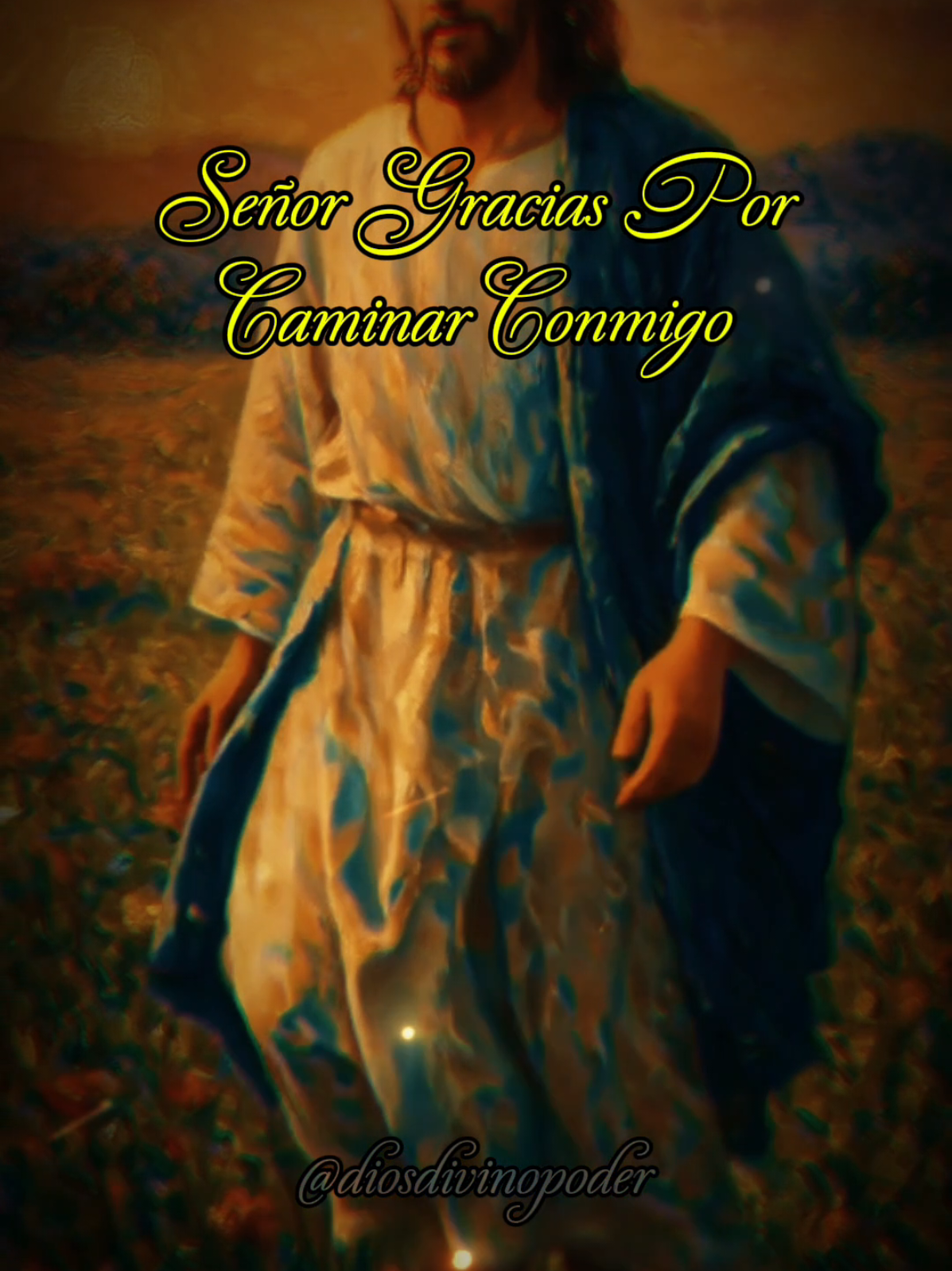 Señor, gracias por Caminar Conmigo #dios #jesusteama #oracion #caminaconmig #jesuslovesyou 
