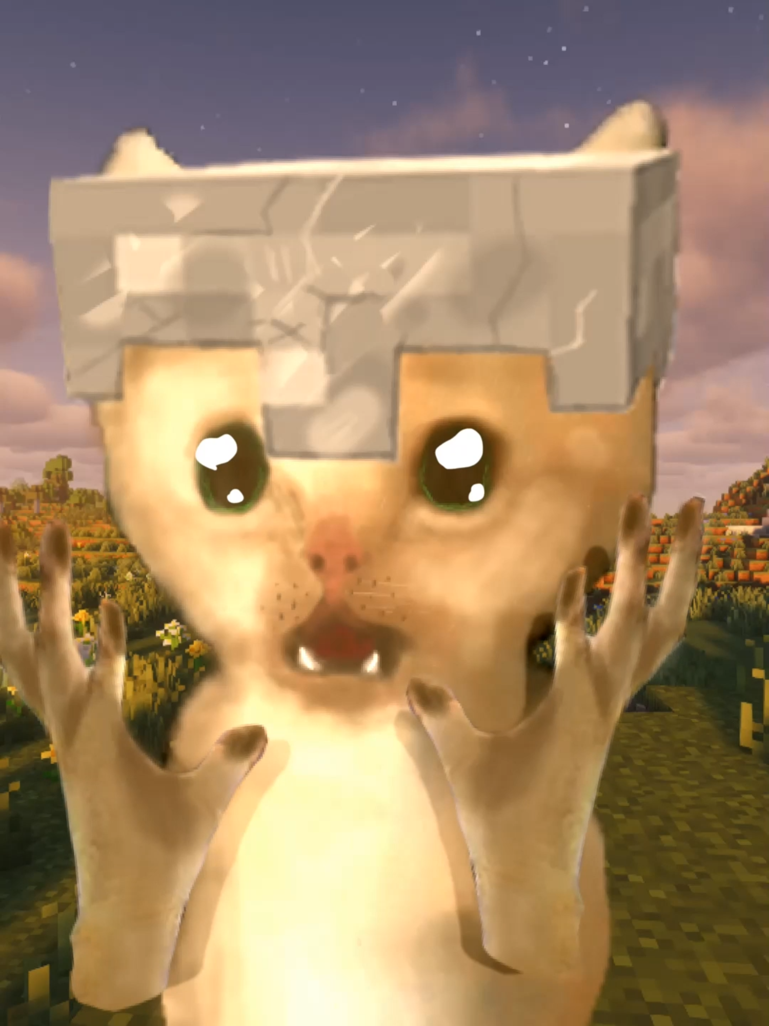 Trying out shaders #cat #animation #Minecraft