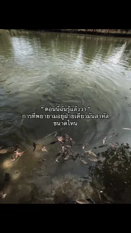 🙁 #fyp #foryou #เธรดเศร้า #เธรดที่ไม่ใช่เธรด #อย่าปิดการมองเห็น 