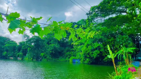 #প্রকৃতির_অপূর্ব_সৌন্দর্য🥰 #songs #foryoupage #vairal #foryou 