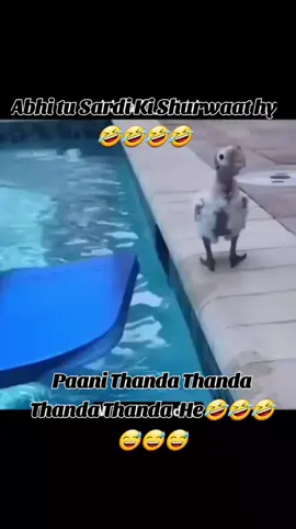 paani thanda hythanda he🤣🤣😅😅😅#foryoupage❤️❤️ #foryoupage❤️❤️ #trendingvideo #foryoupage #trendingvideoviral 