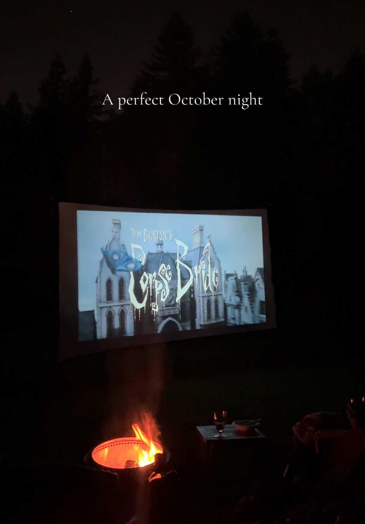 Under the brightest moonlight too 🌕🍷🎃 #corpsebride #october #pumpkincarving #outdoormovienight #TimBurton 