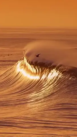 #unfrezzmyaccount #foryoupageofficiall #natureclips #nature #unfak 