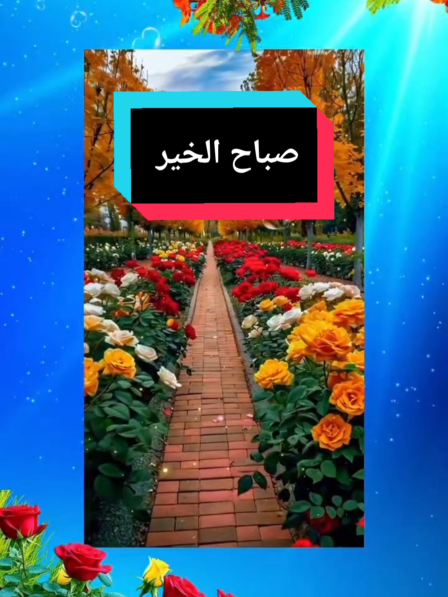 صباح الورد والجمال على أجمل متابعين  #صباح #صباح_الخير #صباحكم #ورد #suha 