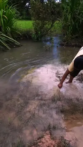 100 days survival girl building a house, secret mansion, and ancient skills in real life