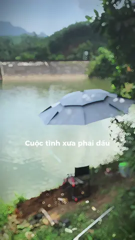 #caugiaitri #sonfishing #luudinhson #cauca #caucatunhien #moitramden #hugo 