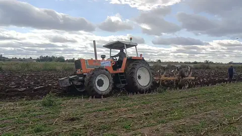 fiat 1180 in aratura a remedello 2025 #patabolik #fiatagri #fiat1880 