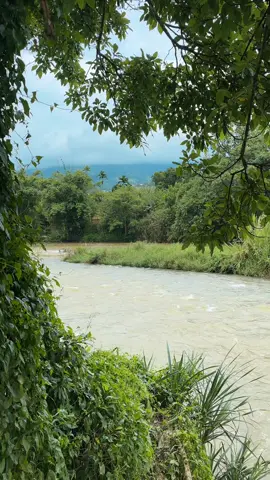 මහවැලි නිම්නයේ ...