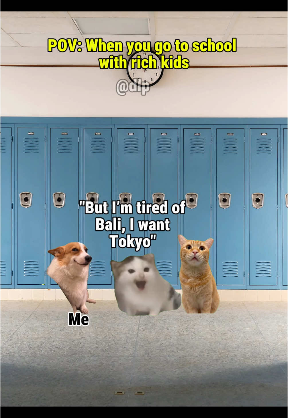 When you go to school with the rich kids  #catmeme #catsoftiktok #relatable #Relationship 