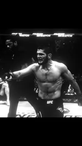 Khabib 🦅 || #khabibnurmagomedov #khabib #fyp #edit #viral 