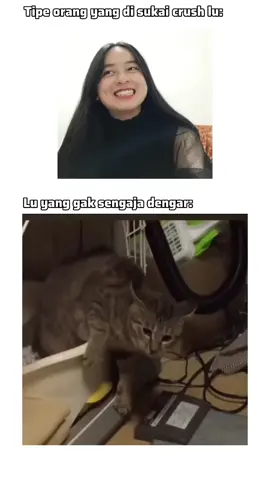 tak masuk kriteria #meme #fypage #fyp 
