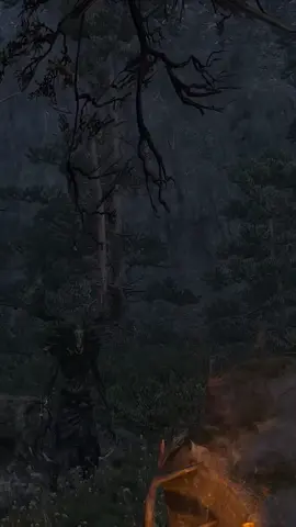 90% of the players missed this Hidden Detail in Skellige - Witcher 3