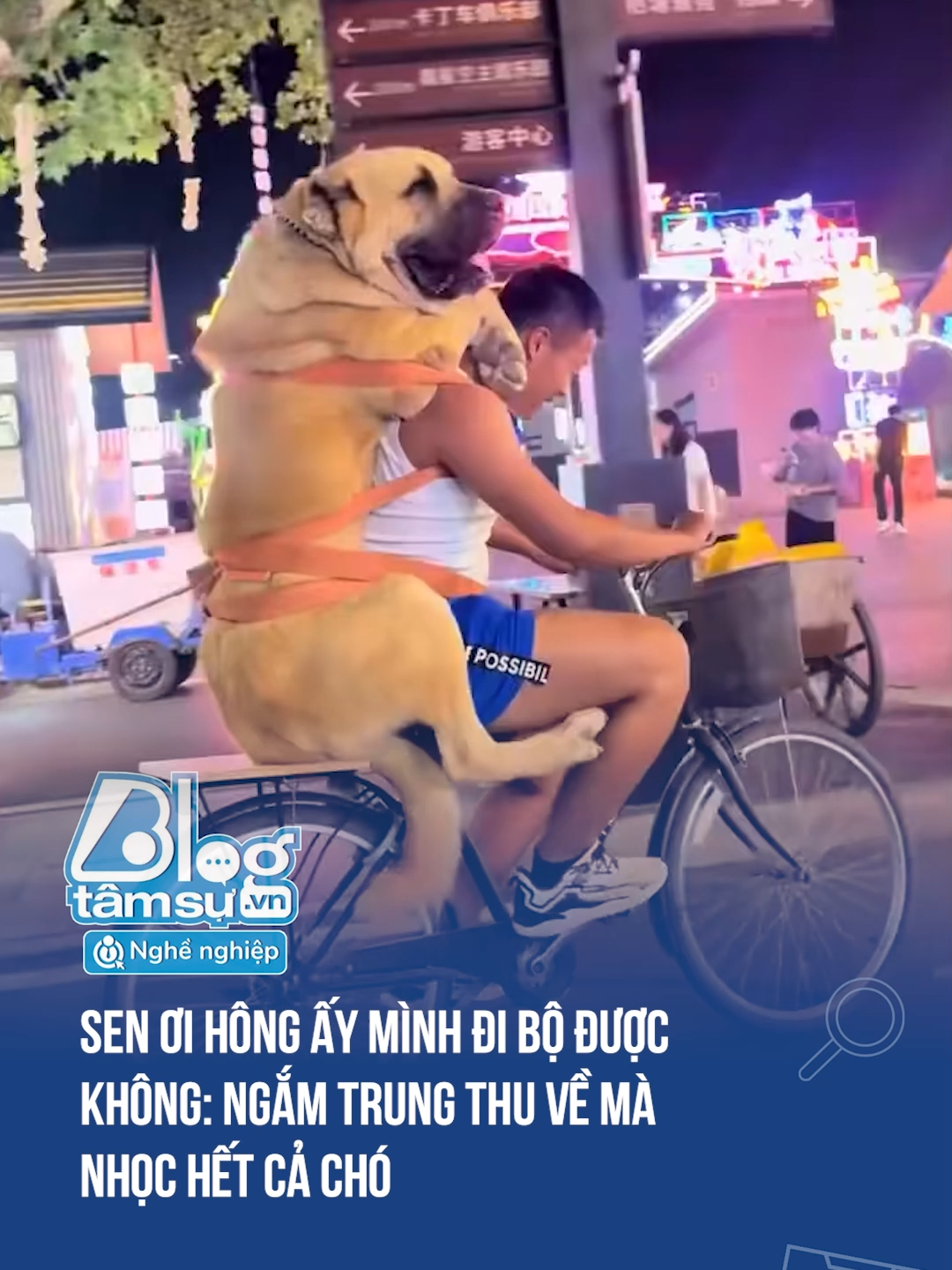 Ult chỉ to cái đuôi của nó 🤣🤣🤣 #btsmedia #blogtamsu #funfact #xuhuong #haihuoc #discover #viral #dangyeu #cho