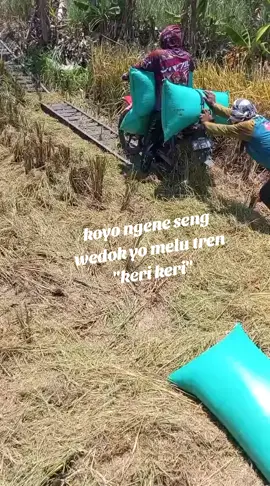 di sogok sogok#kulitani #ojekgabah #ojekjagung @Mas Pilipz😎 
