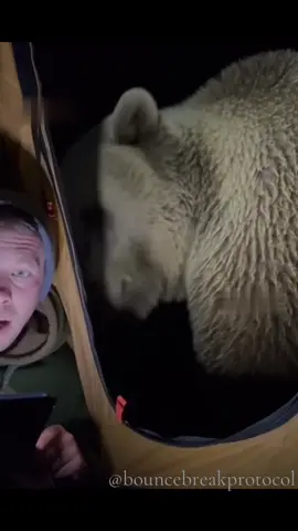 While camping solo in a tent, famous YouTuber finds a full grown adult Grizzly bear sniffing around his tent in the small Canadian town of Squamish, BC. 😲😲 Never…camping…again…. 😳😳