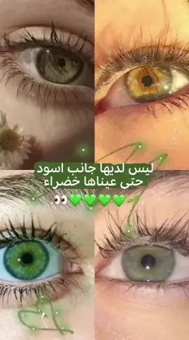 💚💚#