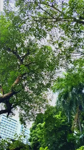 Selflove affirmation #abundance #affirmationsdaily #manifestation #fyp #wealth 